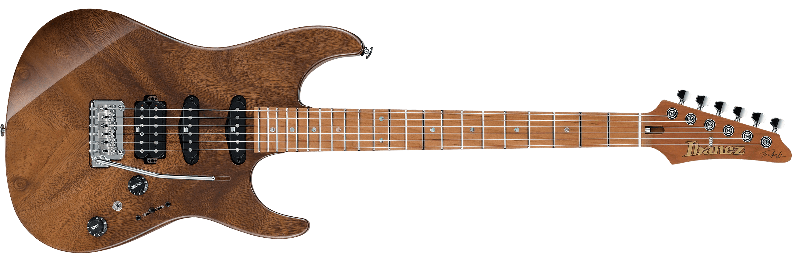 ibanez-tqm1-nt_5cc72f042a245.png