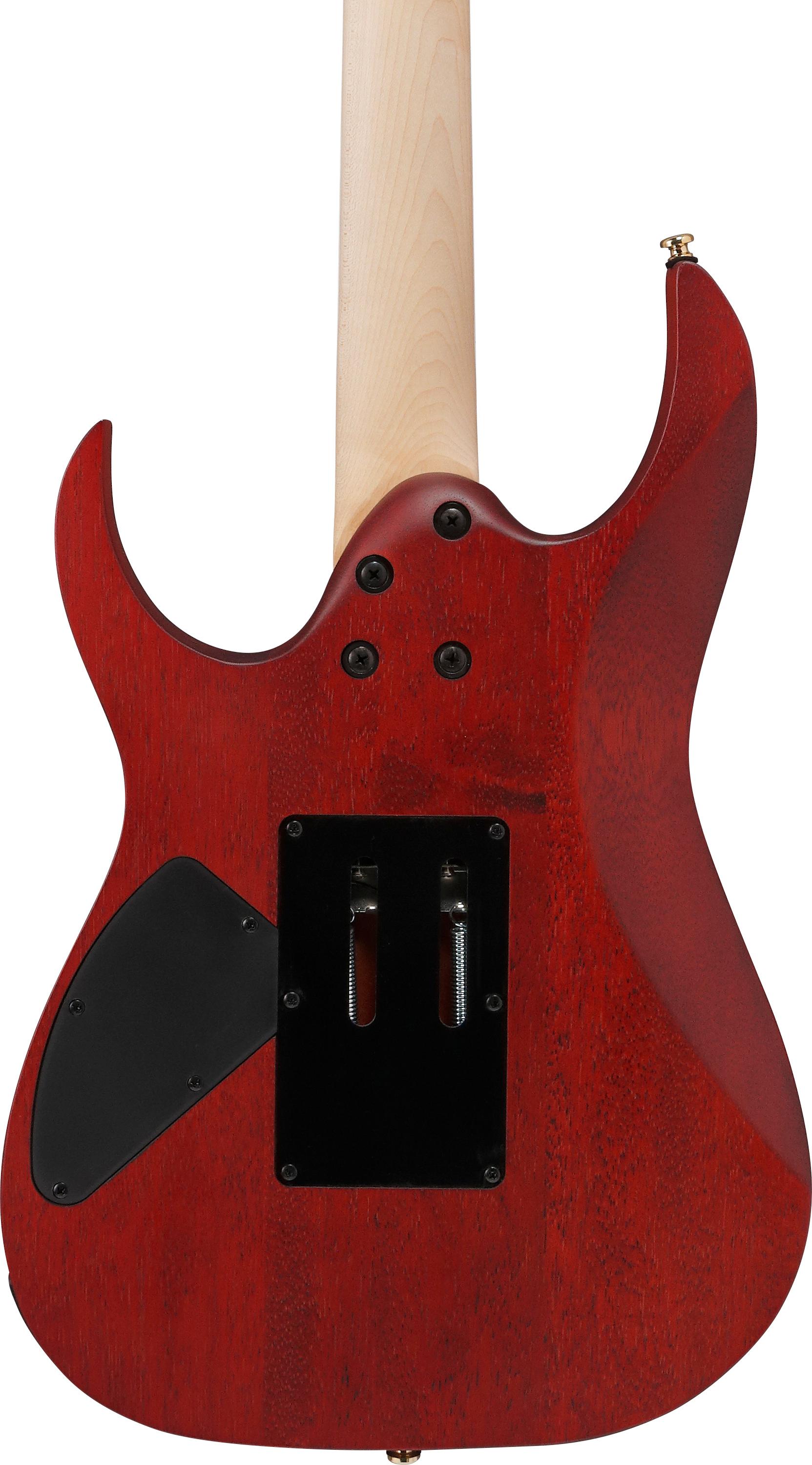 ibanez_691df889d336d.jpg