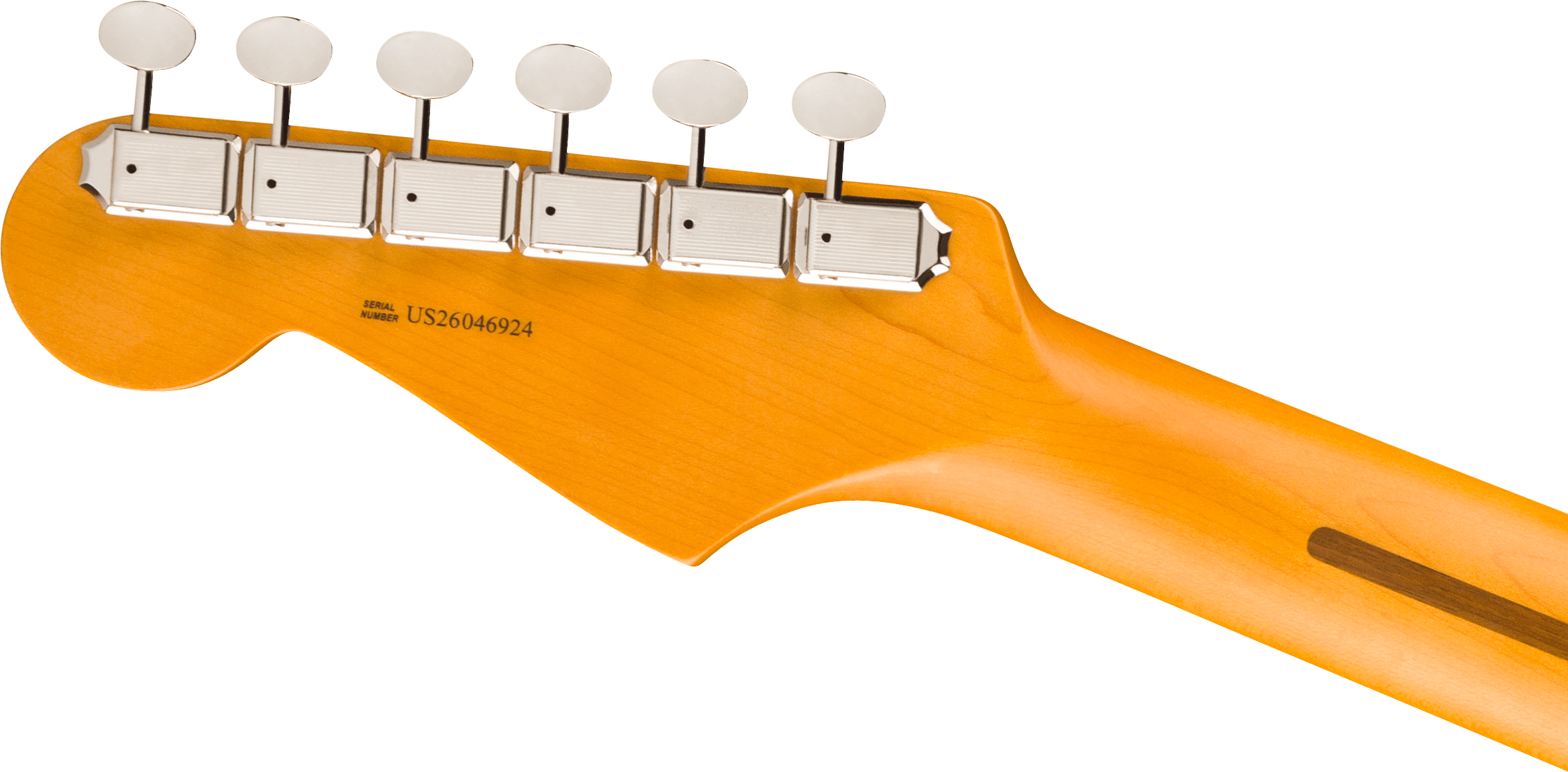 limited-edition-american-professional-classic-stratocaster-silent-system-car_6ab2471cc19e8.jpg