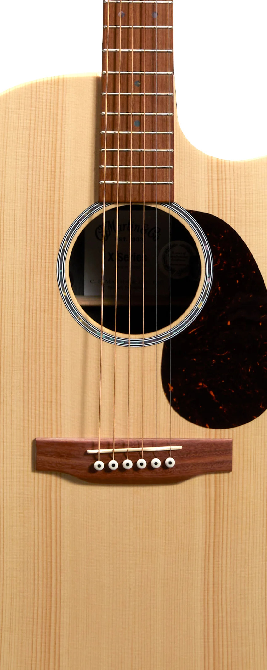 martin-gpc-x2e-cocobolo_6ab64569a5a64.jpg
