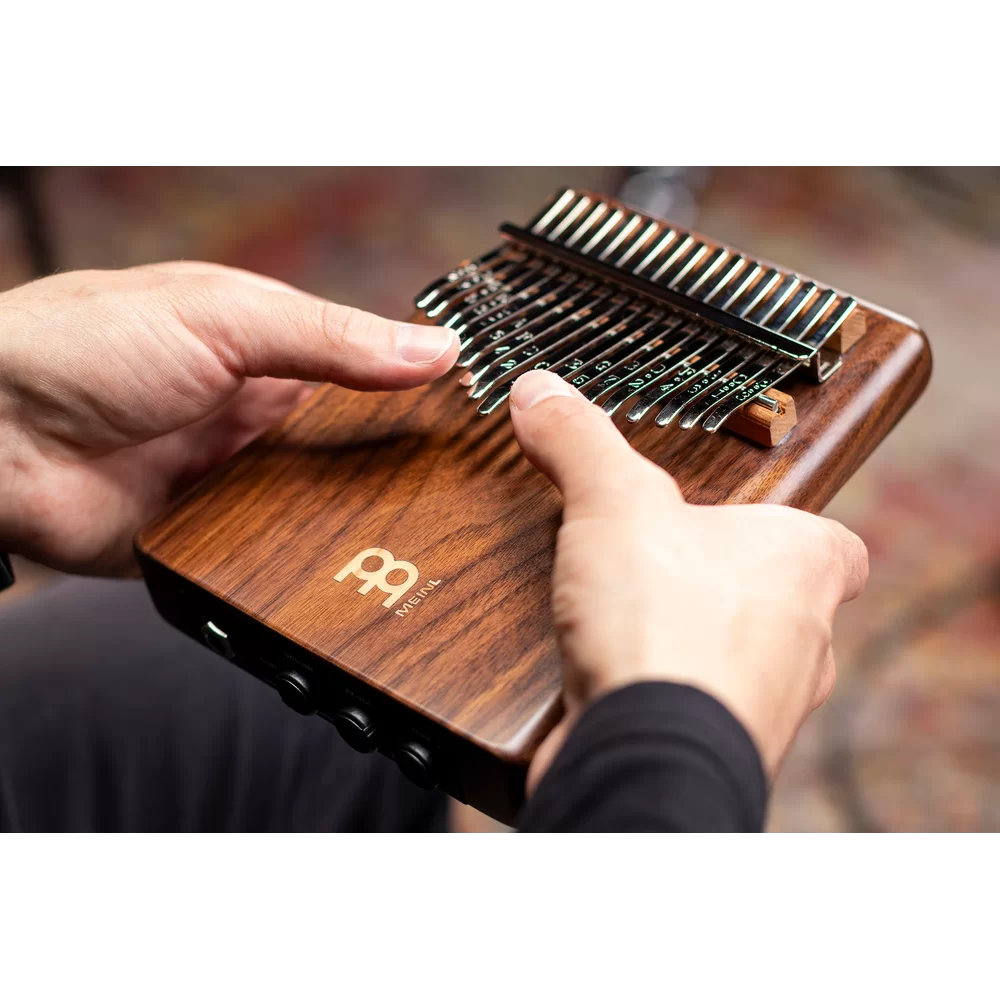 meinl-solid-pickup-kalimba_69a16e6eedb81.png