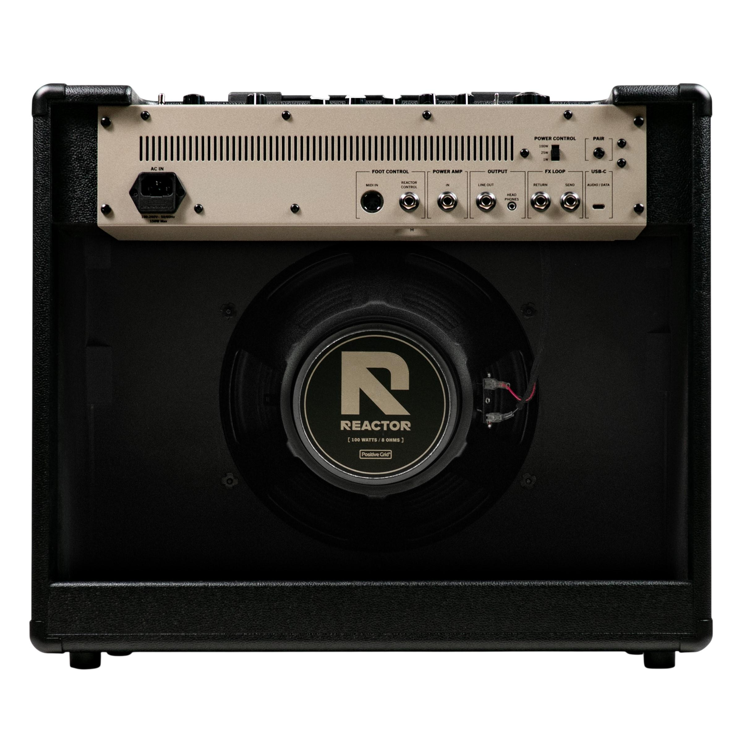 positive-grid-reactor-100_6a1edf69ac045.png
