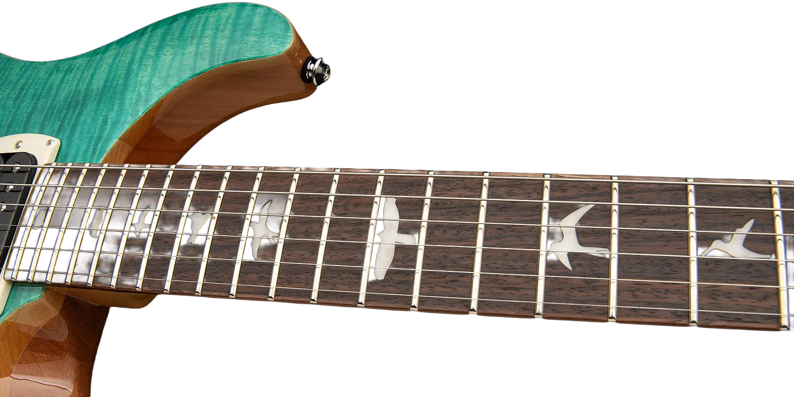 prs-se-custom-24-08-turquoise_69b9346ae6a39.jpg