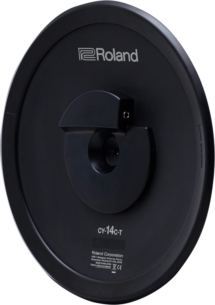 roland-14_6026b437cfc7e.jpg