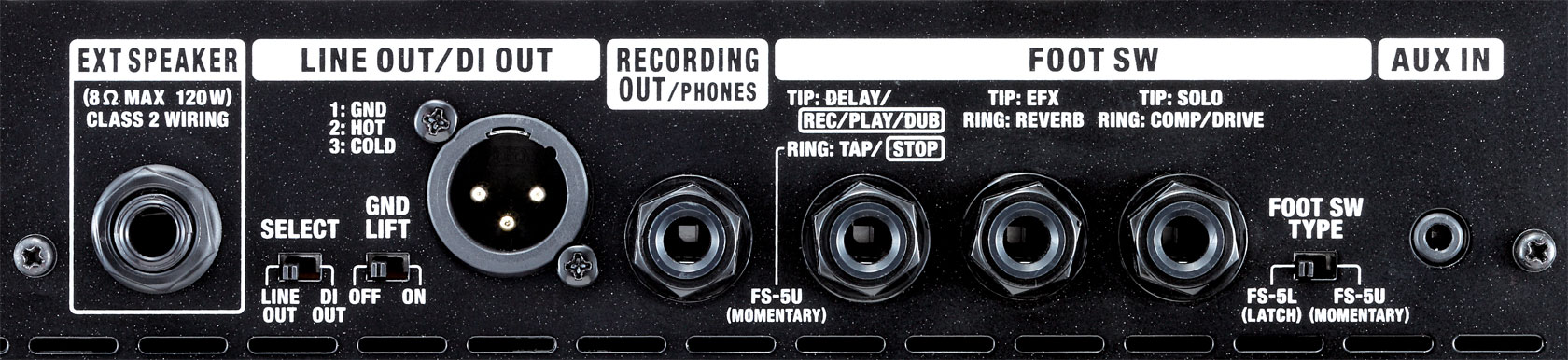 roland-cube-120xl_599e9edd9d4ba.jpg