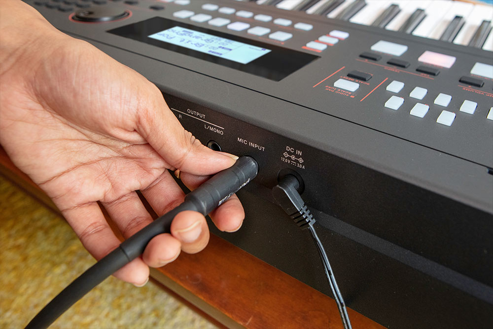 roland-e-x50-entrada-para-microfone_63cacdaee1e12.jpg
