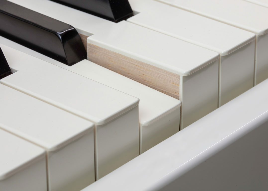 roland-gp-6-pw-teclas-de-madeira-roland-pha-50-hybrid_673ccb597496b.png