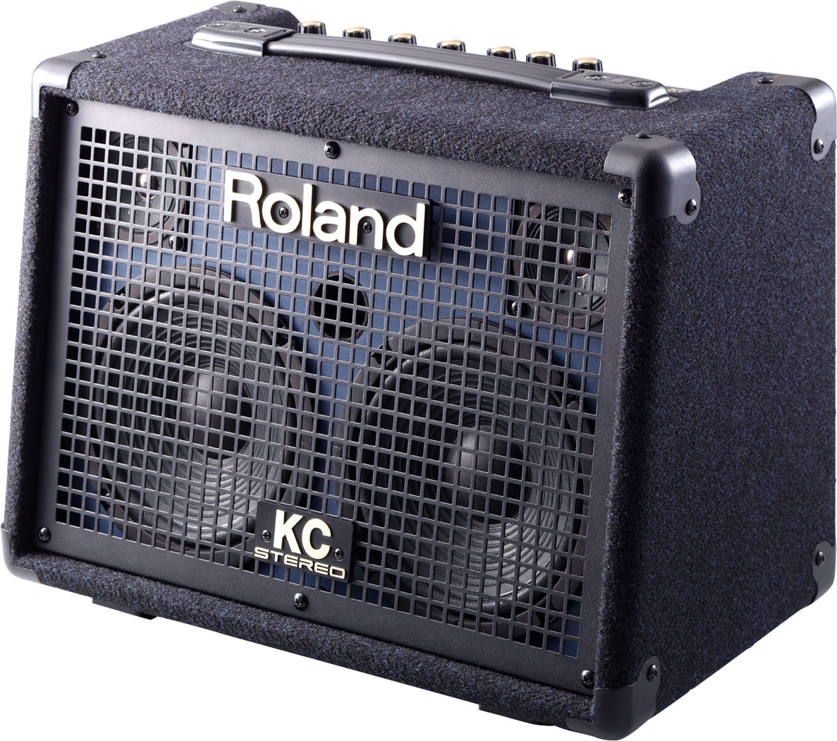 roland-kc-110_599175c8ac462.jpg