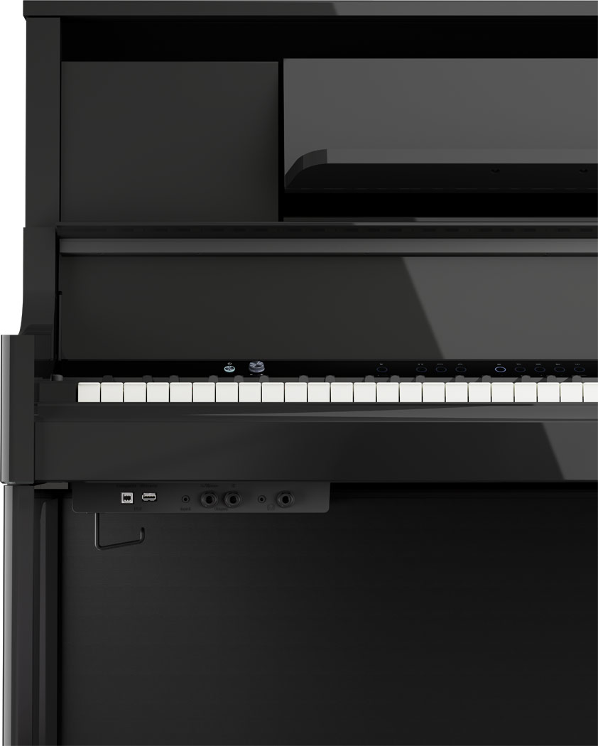 roland-lx-9-pe_673f5f14de348.jpg