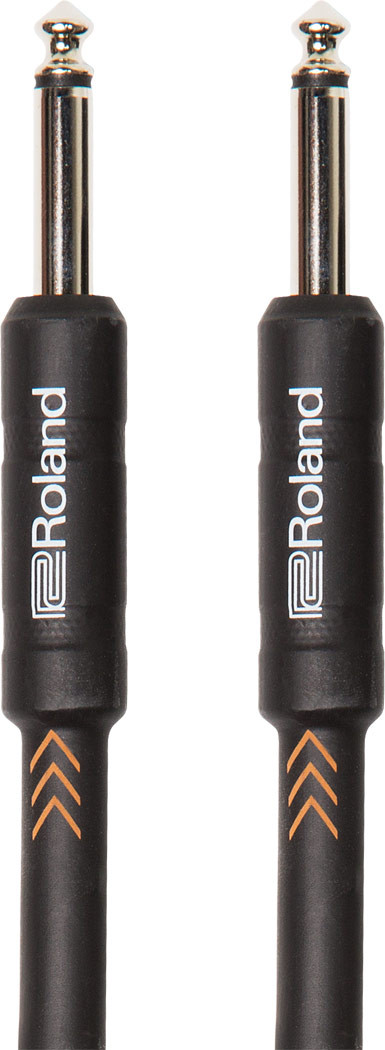 roland-ric-b10_5f6b57a51f8d7.jpg