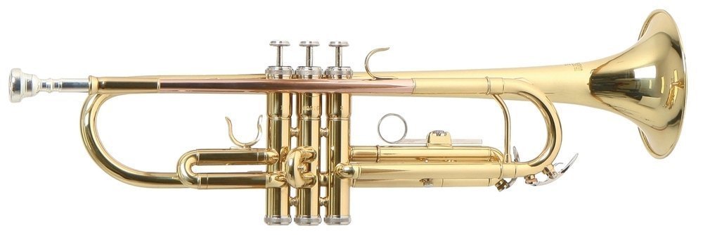 roy-benson-tr-101_5909fa1ee0413.jpg