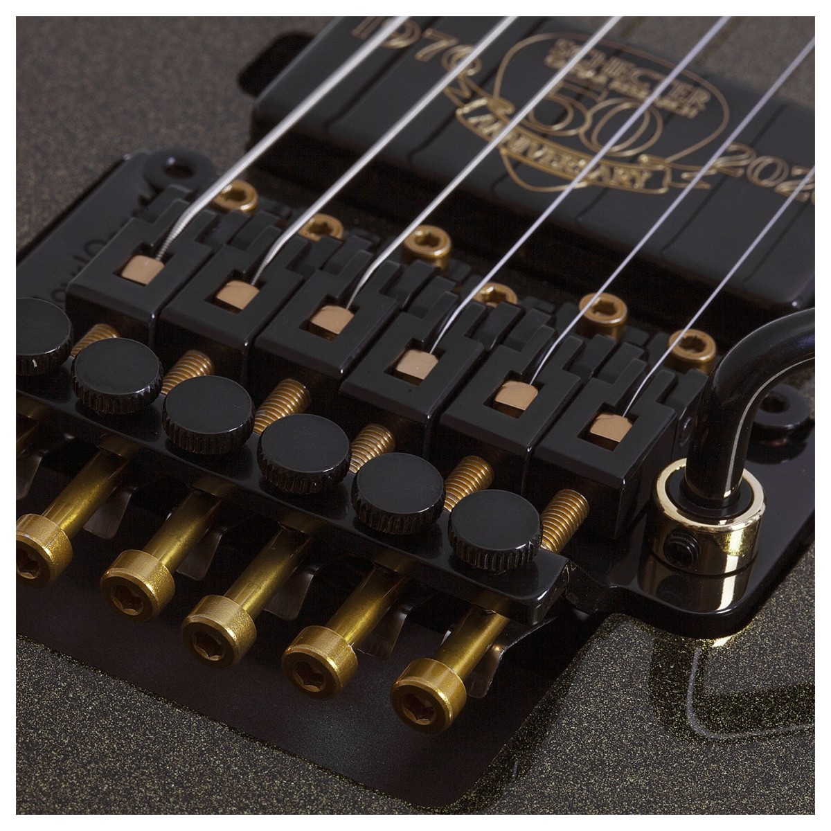 schecter-c-1-fr-s-50th-anniversary_69bd6f0dbed11.jpg