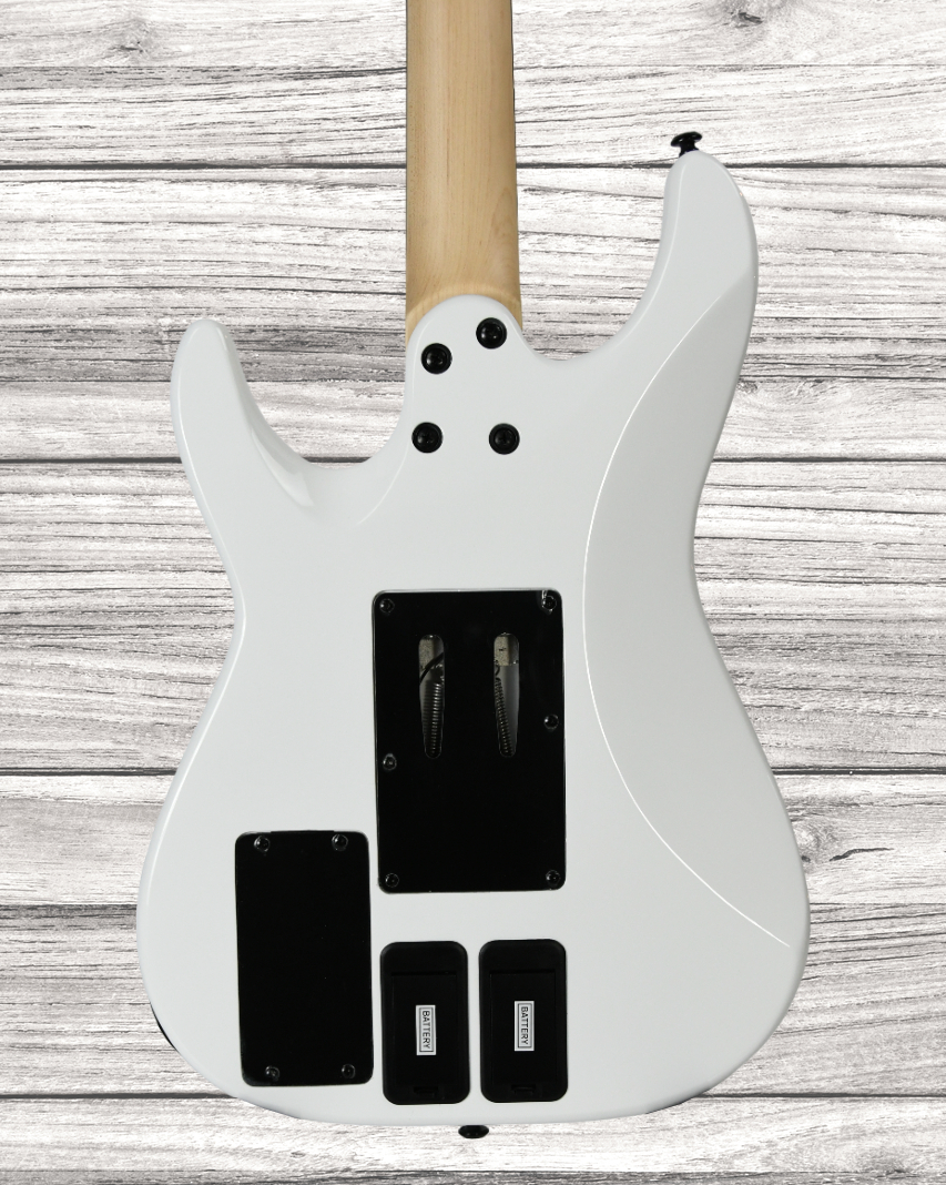 schecter-sun-valley-super-shredder-frs_65e0a2a016f26.jpg