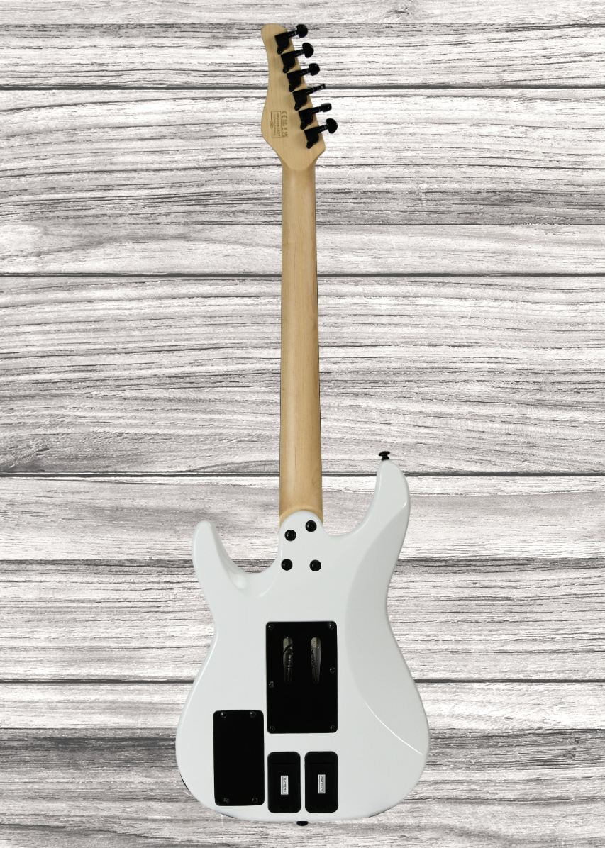 schecter-sun-valley-super-shredder-frs_65e0a2a8841f0.jpg