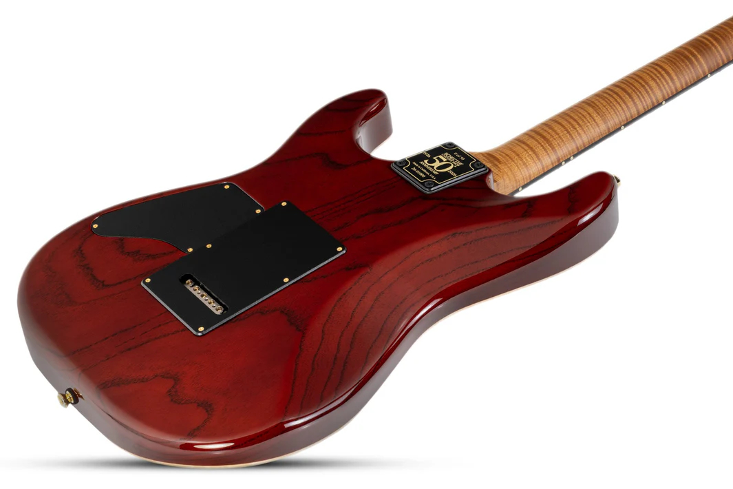 schecter-usa-custom-shop-cet-50th-anniversary-golden-anniversary-41-of-50_6995e5777ccaf.jpg
