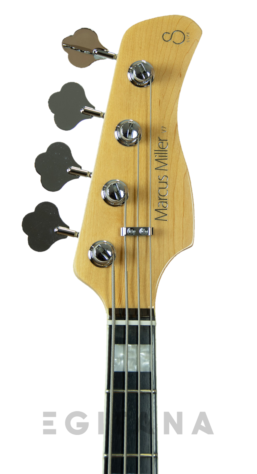 sire-marcus-miller-v7-alder-4-awh-2nd-gen_6100309a25517.png