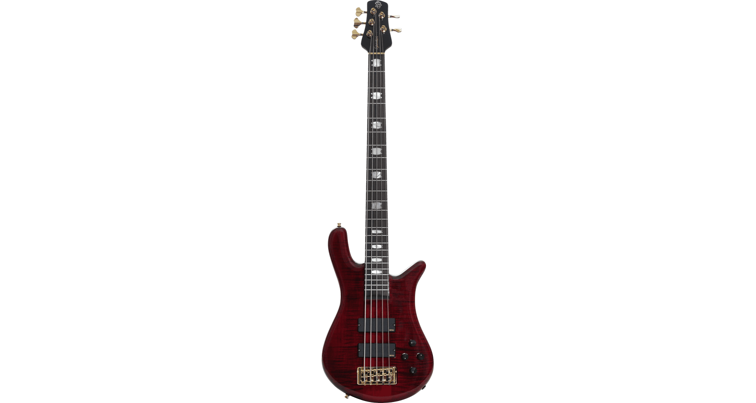 spector-euro-lx-5-bcg_63e239090394b.png