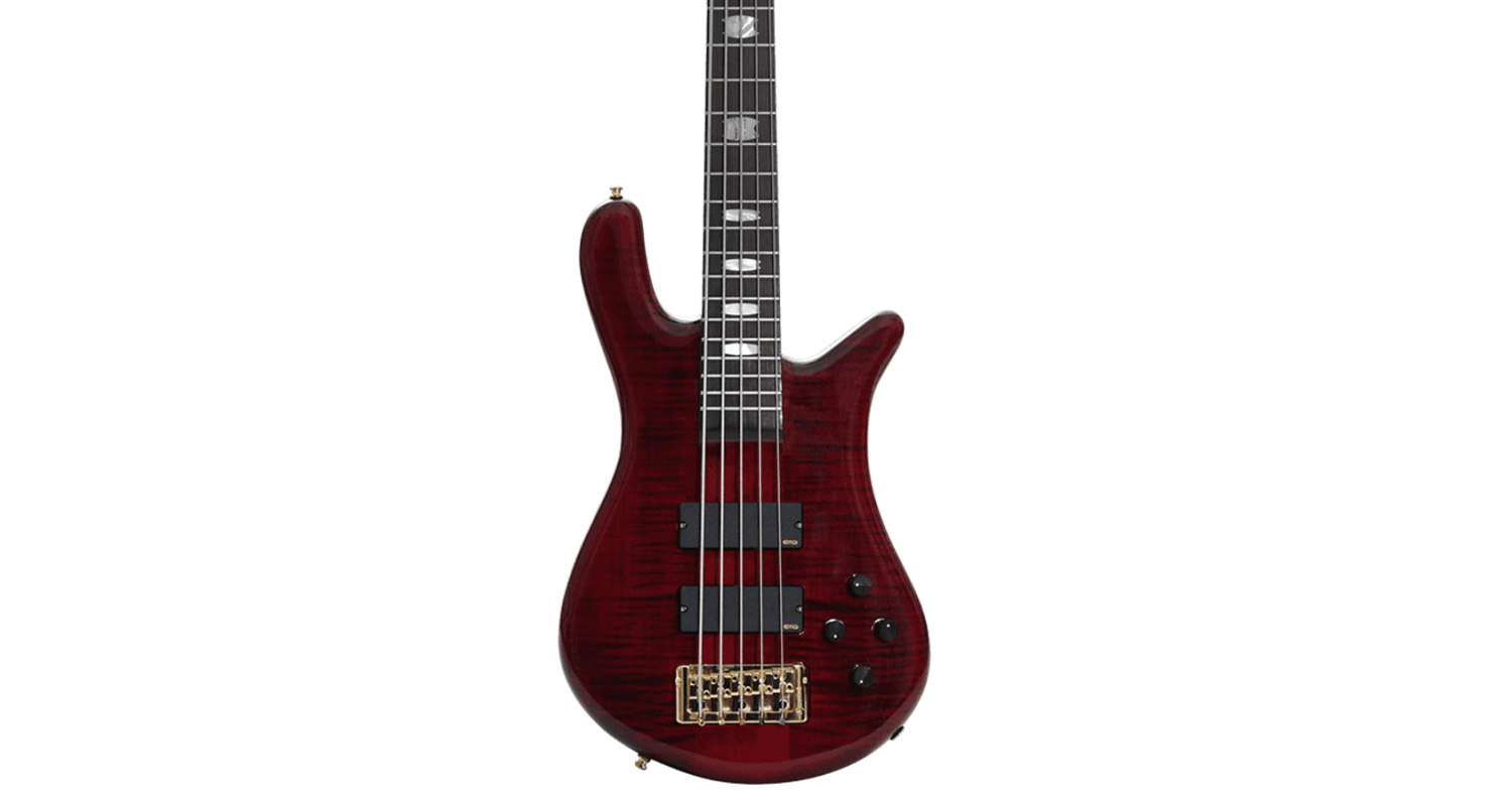 spector-euro-lx-5-bcg_63e23909a5dfc.png
