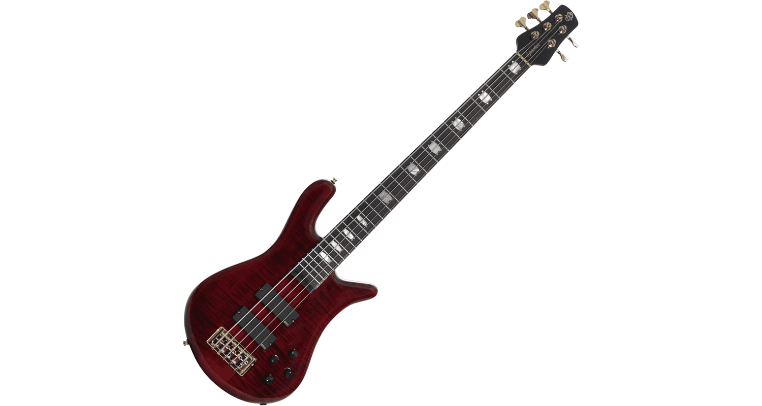 spector-euro-lx-5-bcg_63e2390a0bb98.png