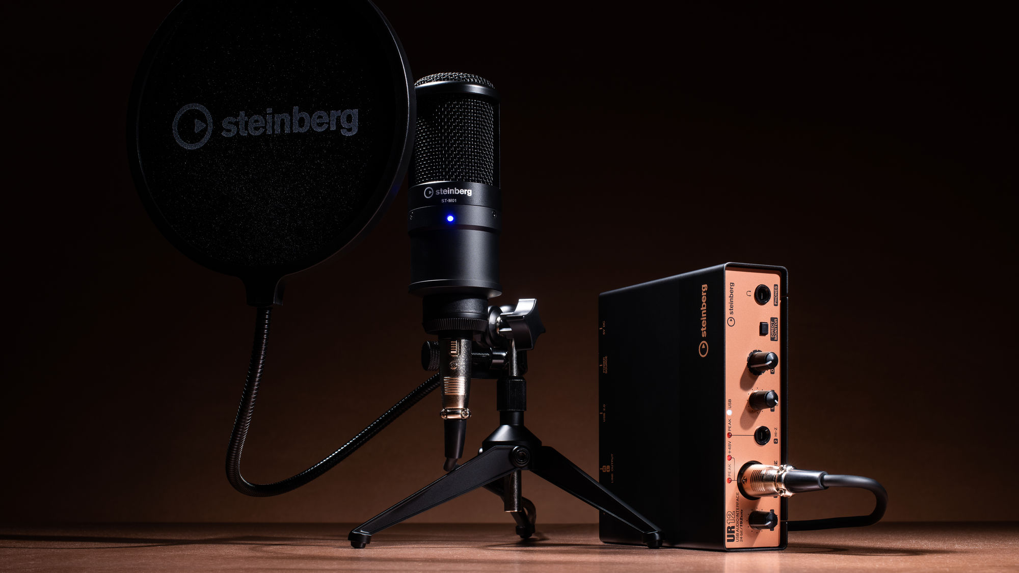 Aランク-Steinberg UR12B Podcast Starter Pack 2インx2アウト ミキサー USB 2.0  オーディオインターフェイス コンデンサーマイクセット UR12B PS Pack スタインバーグ  (オーディオインターフェイス)：Apple専門店