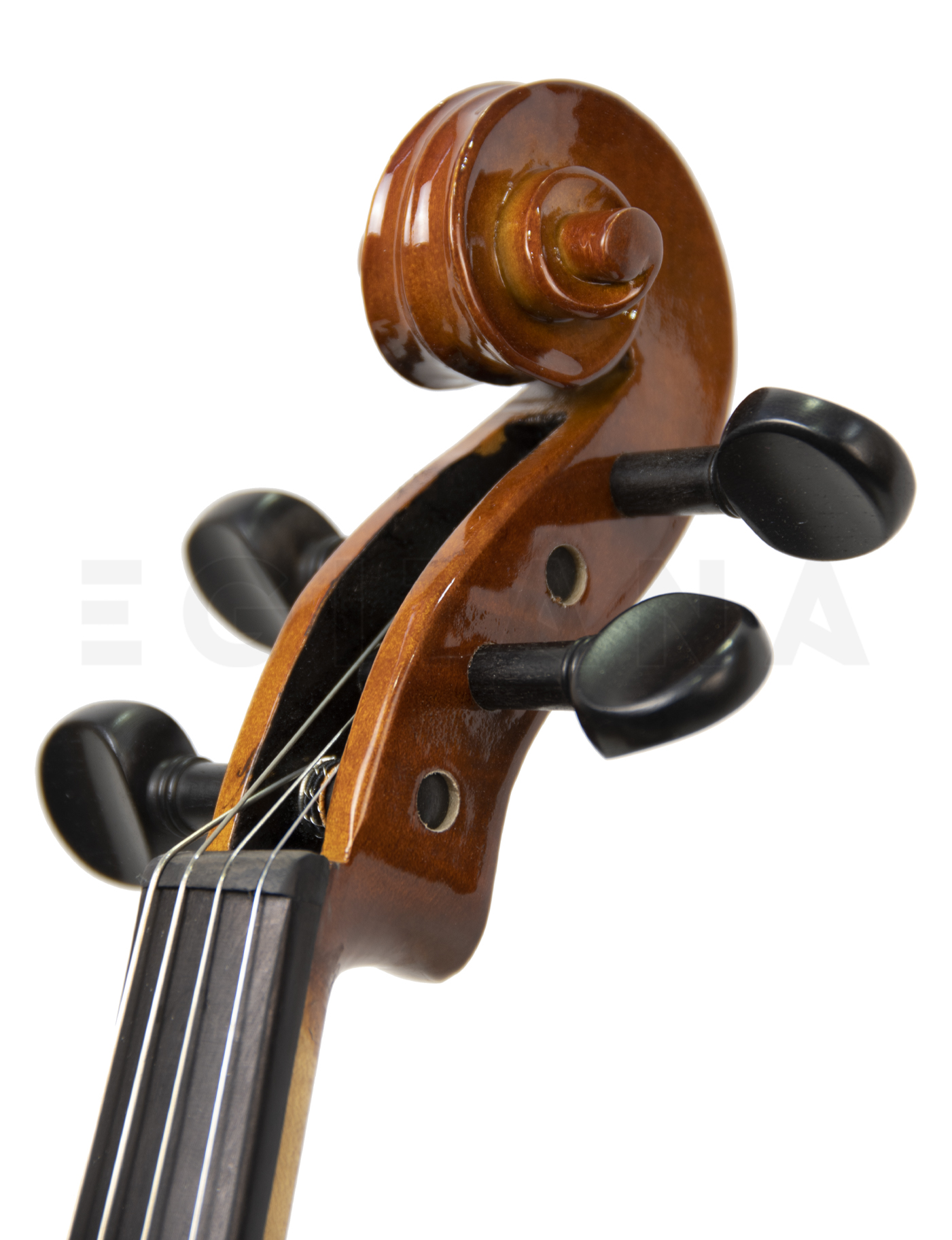 stentor-conservatorio-4-4_6189151de28d2.jpg