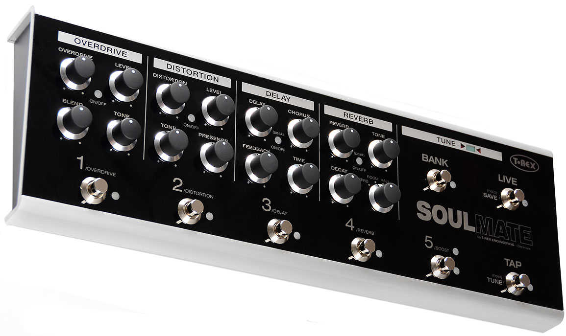 t-rex-soul-mate_5b3c90a0bc97f.jpg