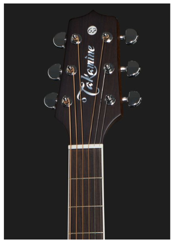 takamine-ef360gf-glenn-frey-w-softcase_68ade03385905.jpg