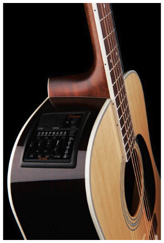 takamine-ef360gf-glenn-frey-w-softcase_68ade040491d9.jpg