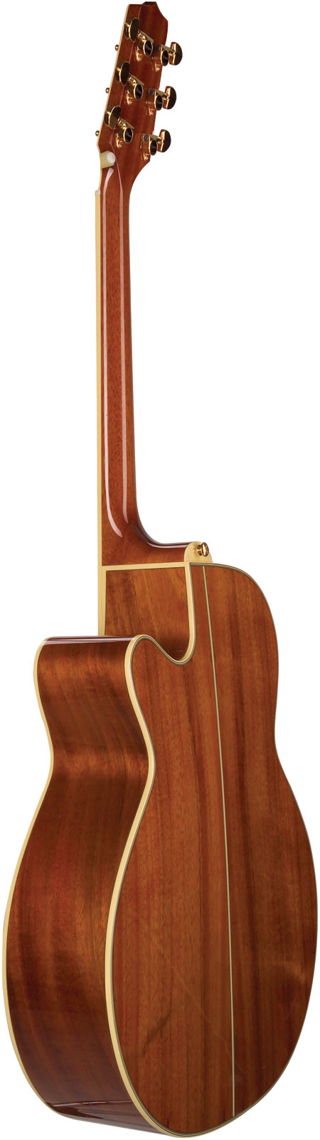 takamine-ef508kc_5b3e4986add8e.jpg