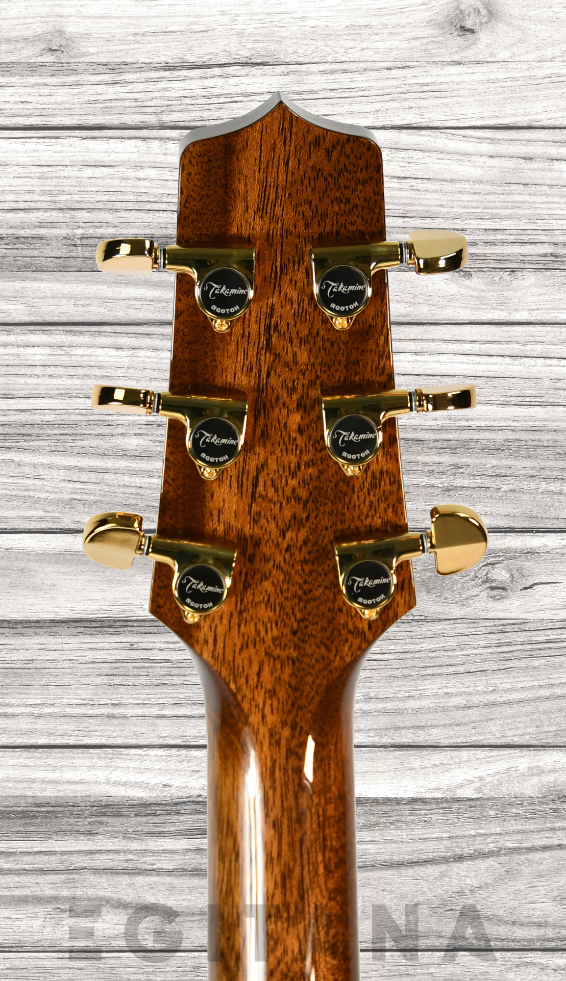 takamine-p5dc_635fea621c9c7.jpg