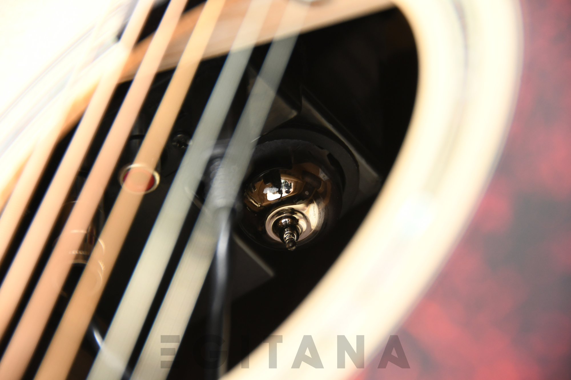 takamine-p5dc_635fea63798db.jpg