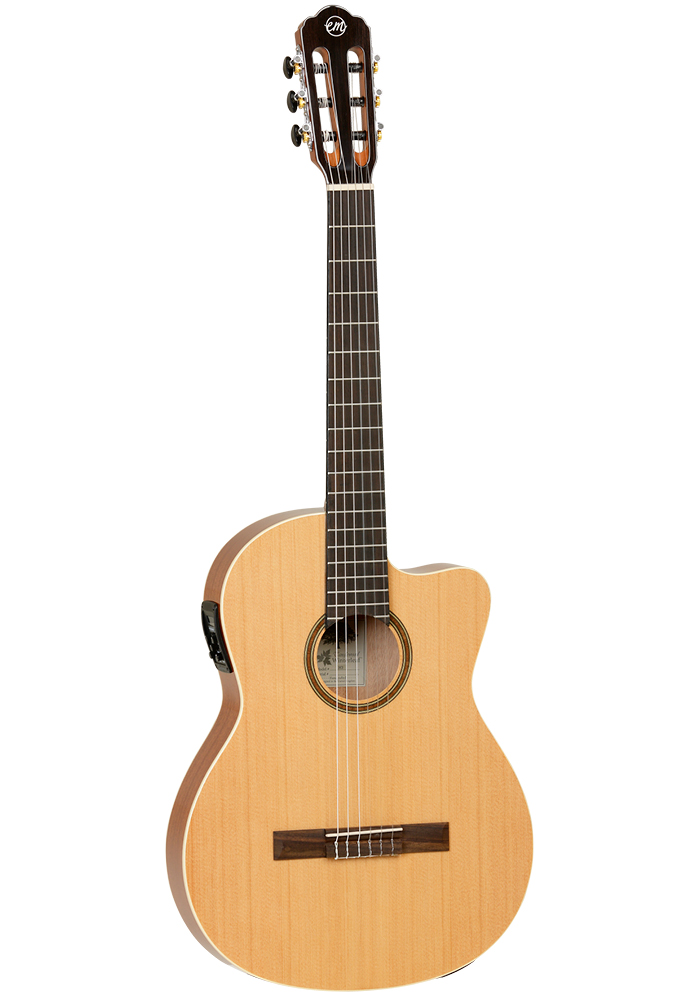 tanglewood-em-dc2_61891a783876a.jpg