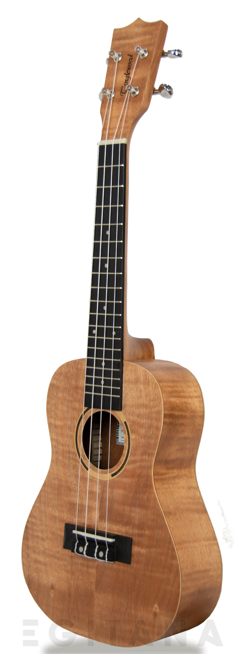 tanglewood-tiare-twt-6_605dc65a4f582.jpg