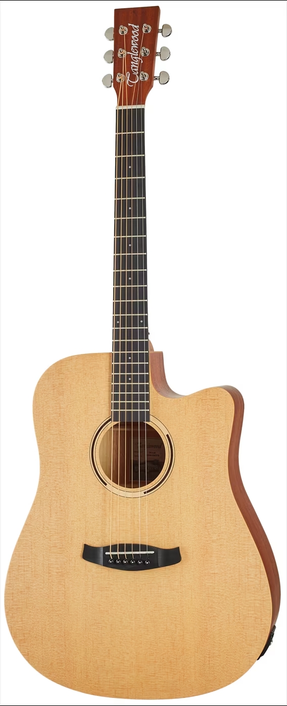 tanglewood-tr-5-ce_66c4a9cb032c6.jpg