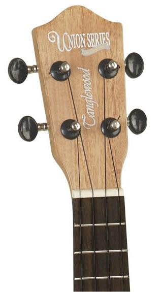 tanglewood-tu-1_5911e2679a894.jpg