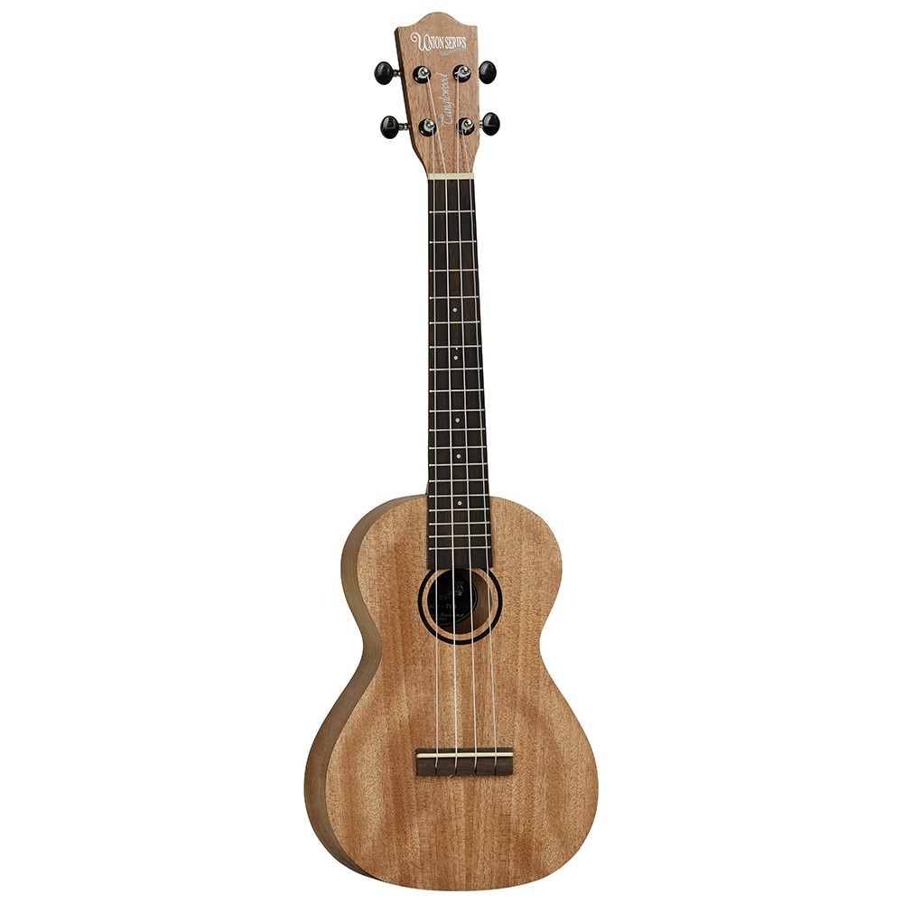 tanglewood-tu-4_59f2fcdbb8b2f.jpg