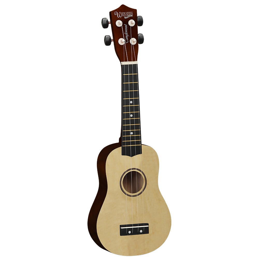 tanglewood-tu6-na_5911ec6d82084.jpg
