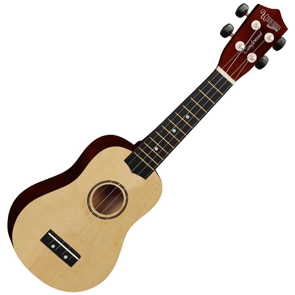 tanglewood-tu6-na_5911ec6dea330.jpg