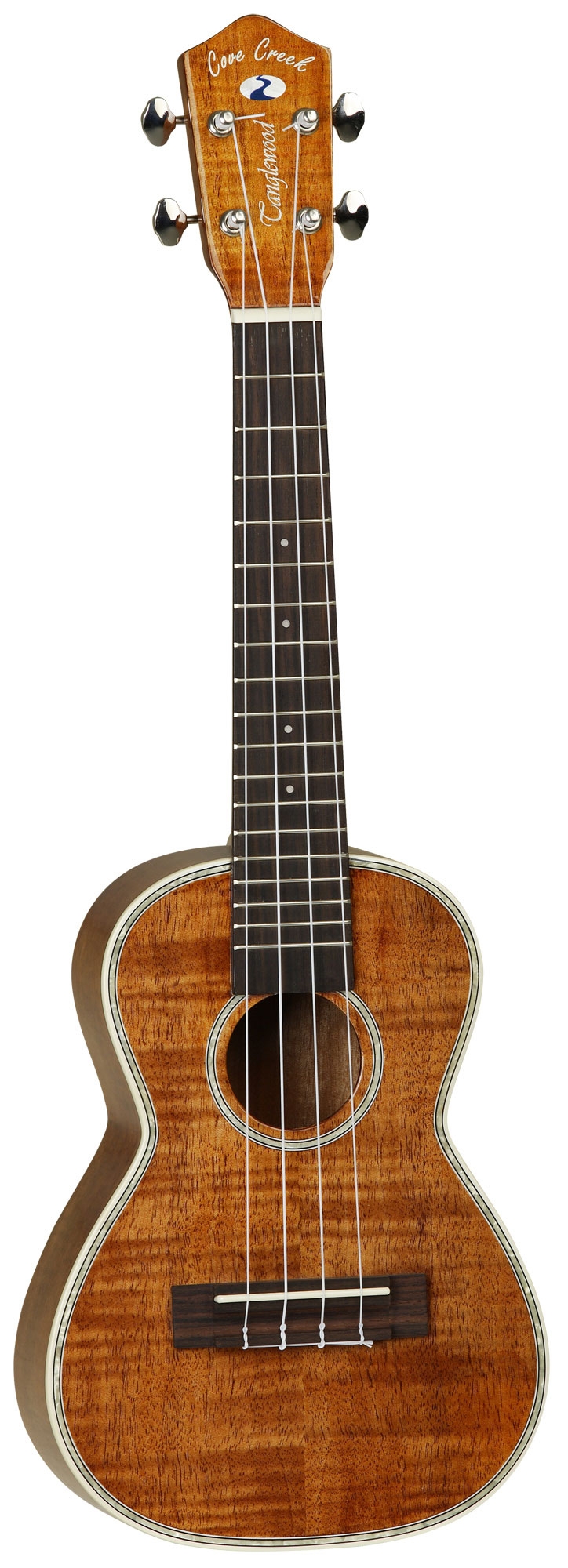 tanglewood-tu9_5911eb41b9a40.jpg