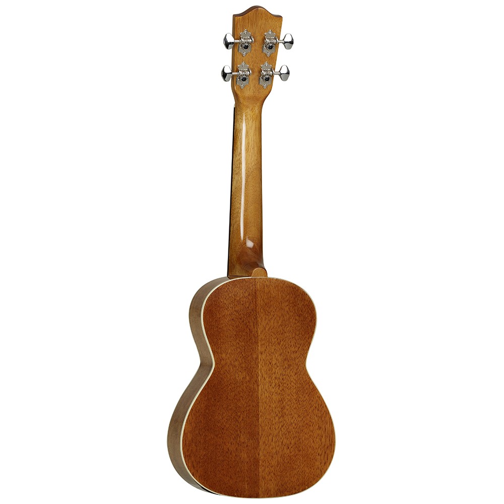 tanglewood-tu9_5911eb427a406.jpg