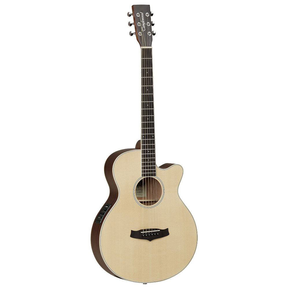 tanglewood-tw1_5953e87e4318c.jpg