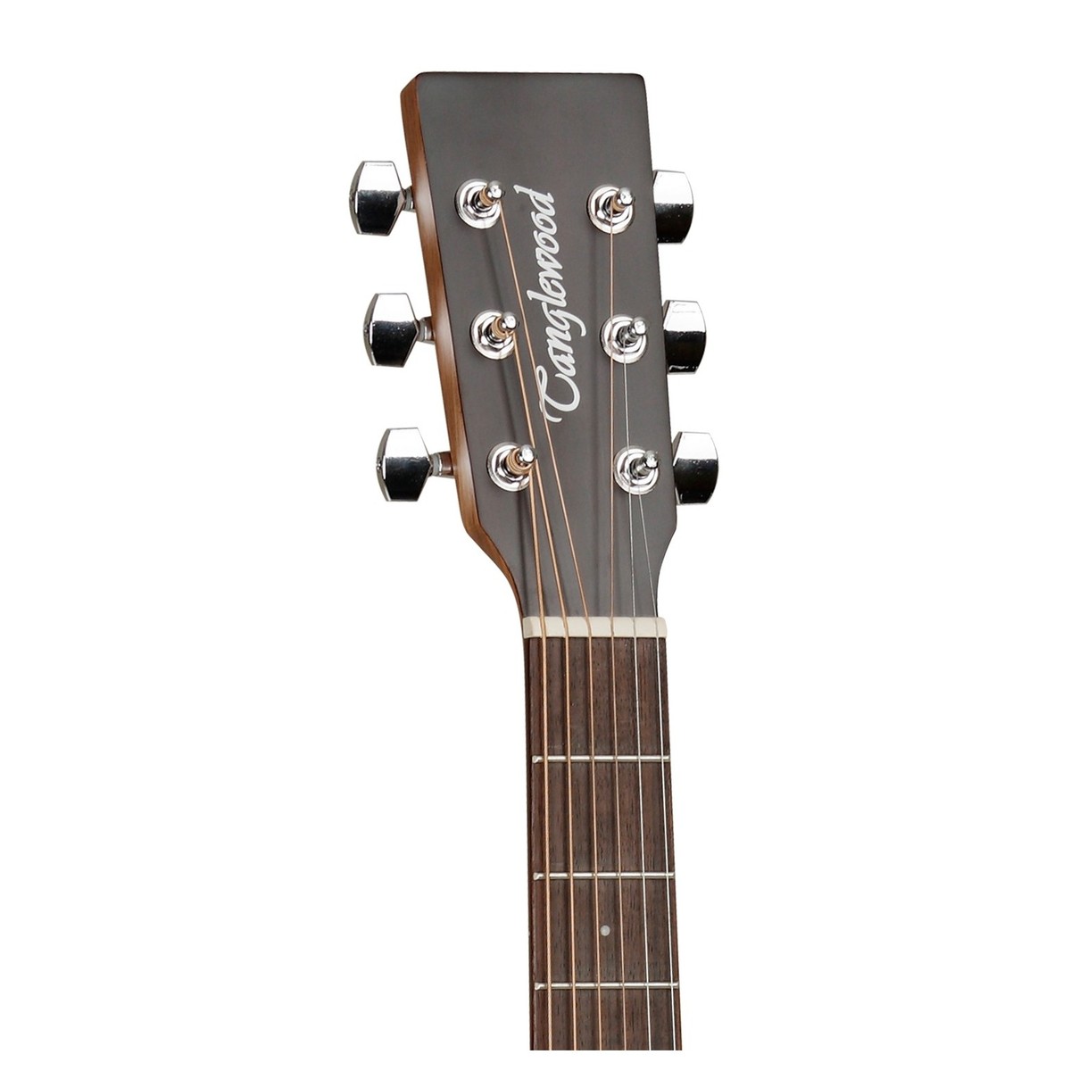 tanglewood-tw2-e_5addf36a63405.jpg