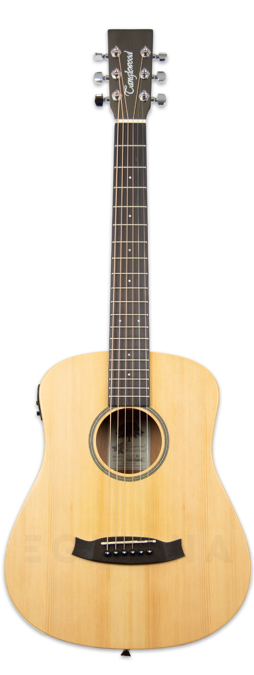 tanglewood-tw2-tse_606b1053e9086.jpg