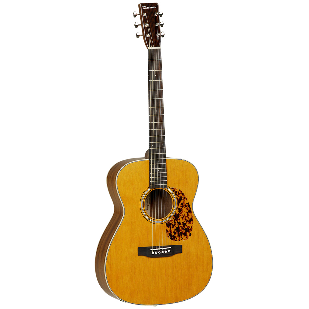 tanglewood-tw40-o-ane_5addf9a0ca7c6.jpg
