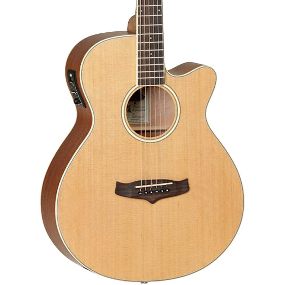 tanglewood-tw9_5addf4a855cd9.jpg