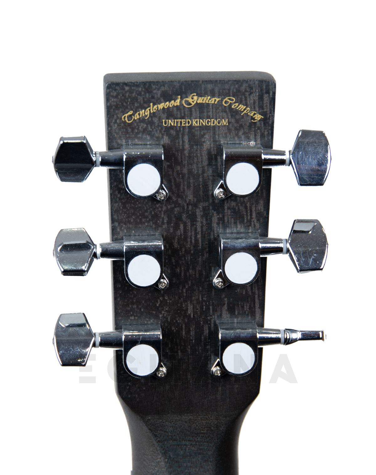 tanglewood-twbb-oe_60941ddeaa7ad.jpg