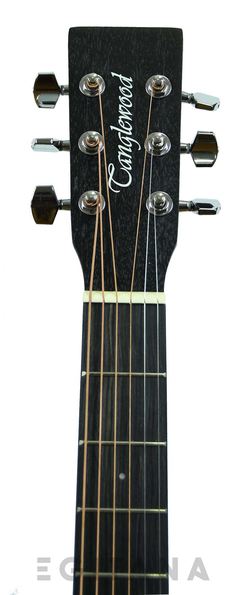 tanglewood-twbb-sfce_61139db806e61.png