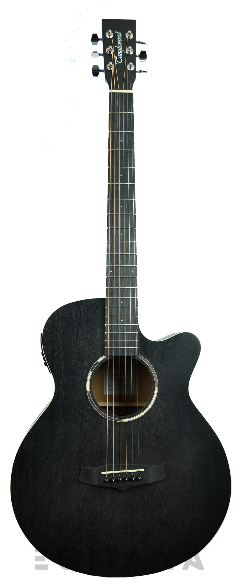 tanglewood-twbb-sfce_61139dbaac7b6.png