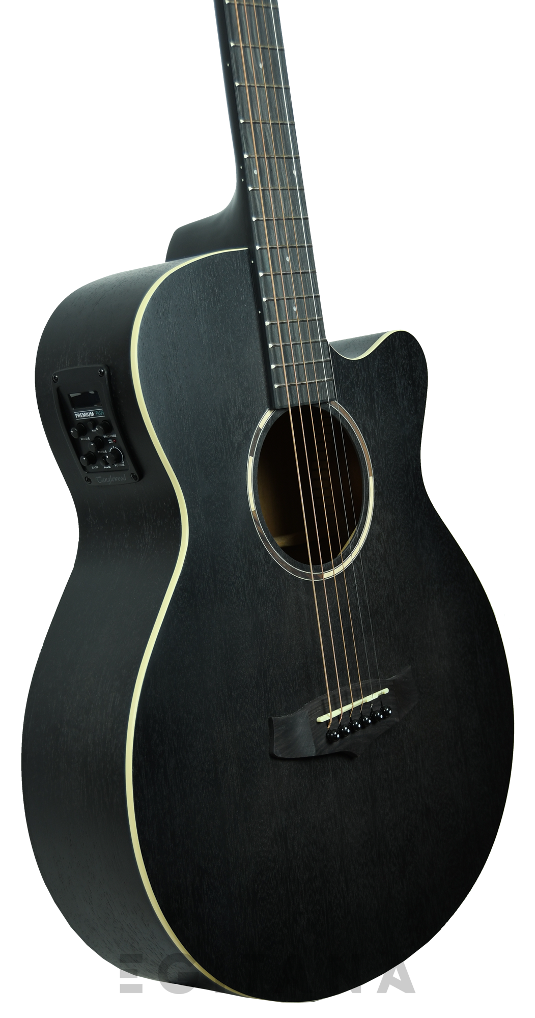 tanglewood-twbb-sfce_61139dbcd8739.png