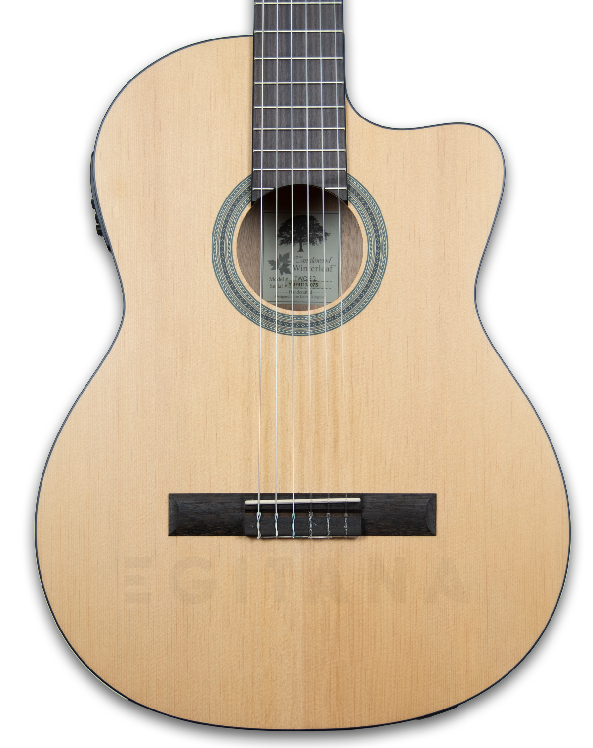 tanglewood-twc-e2_6011451c1542e.jpg